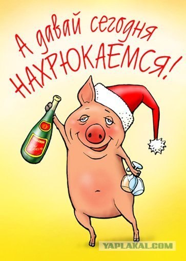 С Новым годом, кaмрады!