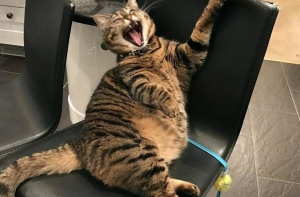 Курс рубля к доллару превысил 70р, к евро 80р