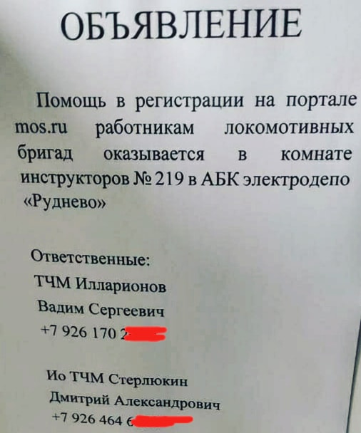 Десять друзей бюджетника: как в Москве принуждают голосовать за Конституцию Путина