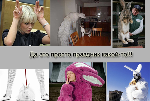 Пятничная Фотожаба: Заяц-Мутант