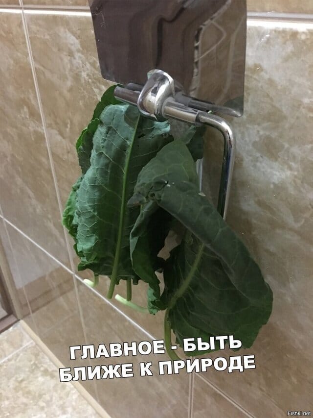 Так себе картинки 21.06.20