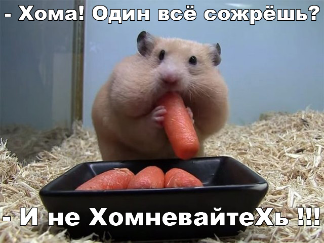 Прикольные и просто красивые картинки 18.08.2020