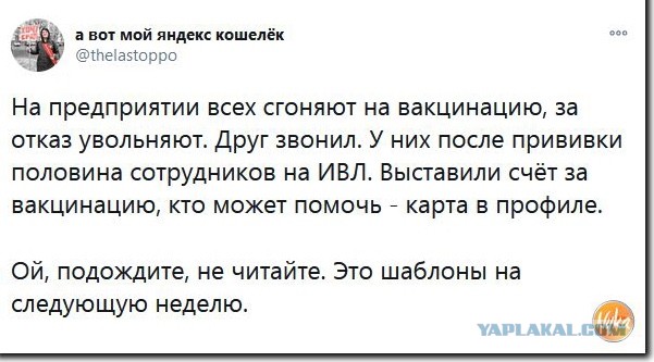 Владимир Путин поручил на следующей неделе начать массовую вакцинацию россиян от короновируса в стране