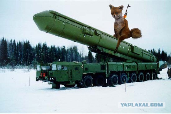 Таксидермия + наркомания