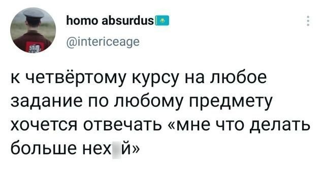 "Солянка" из картинок для улыбнуться или позалипать в среду