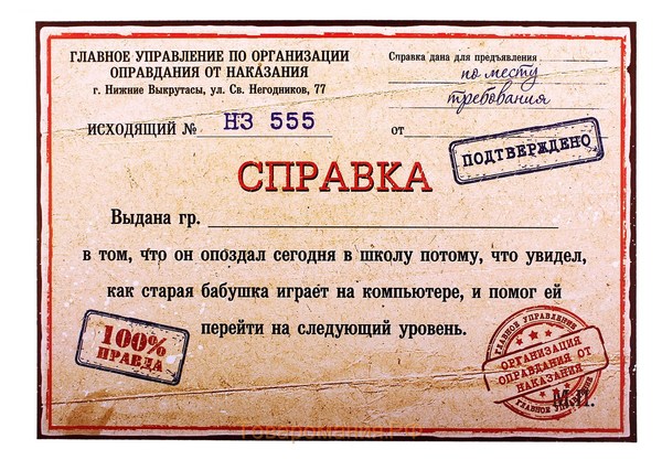 Пенсионерка из Подмосковья обратилась в полицию из-за неудач внука в компьютерной игре