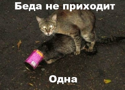 В реестр по слежке за пользователями внесены и «ЯПлакалъ» и «Пикабу»