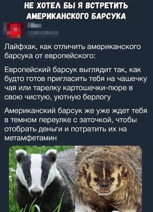 Картинки - не картинки. Смешные - не смешные 2