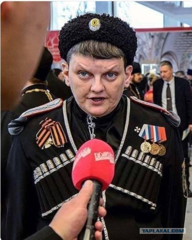 Никто не дискредитирует казаков так сильно... как сами казаки