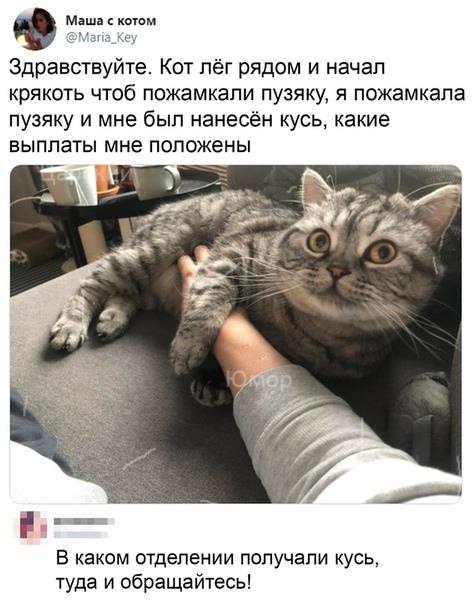 Так себе картинки 04.04.22