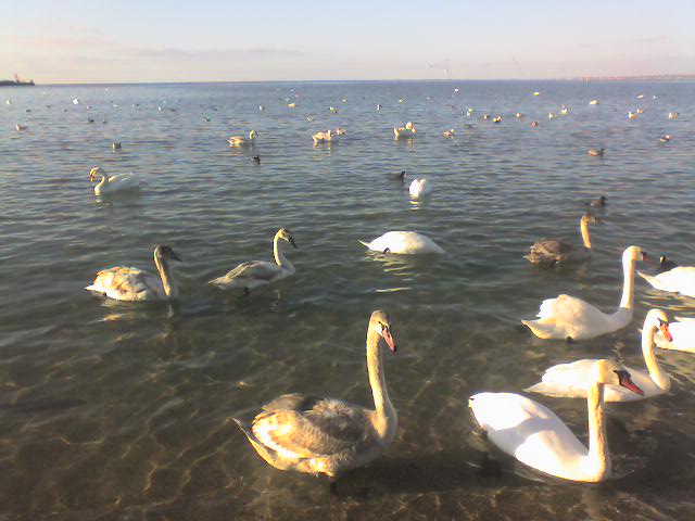 Анапа.