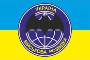 Захват боевика ВСУ