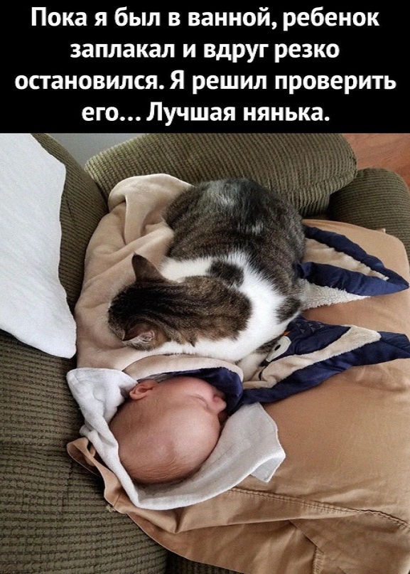 Картинки и мемы. Выходные близко...