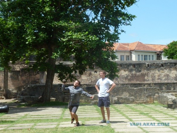 AFRICA - (Эфиопия,Кения,Танзация) 4-16 ноября 2011