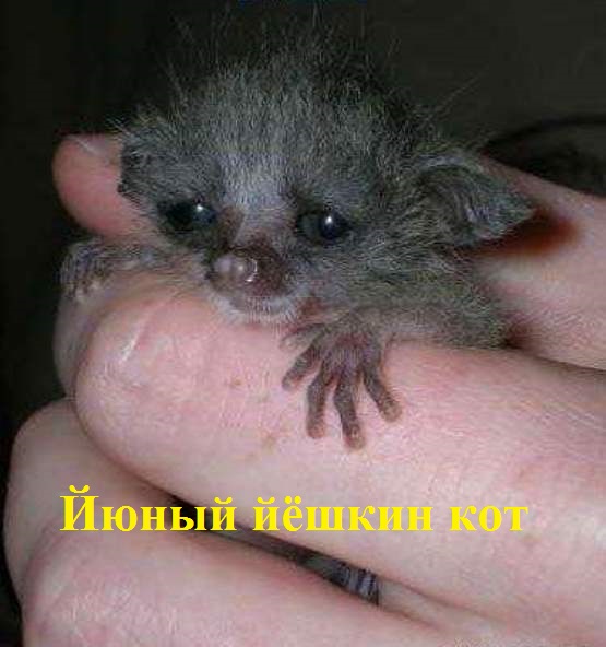 Прикольные и просто красивые картинки 23.12.2022