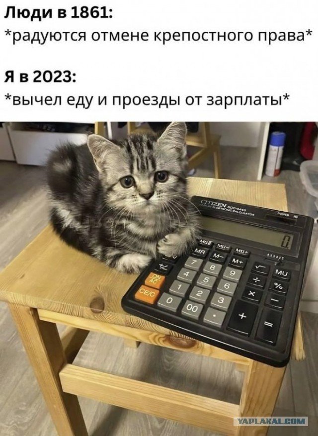 Нуштош 22.03.2023