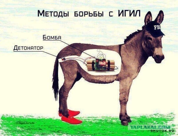 Сотка отборных баянов картиночной направленности