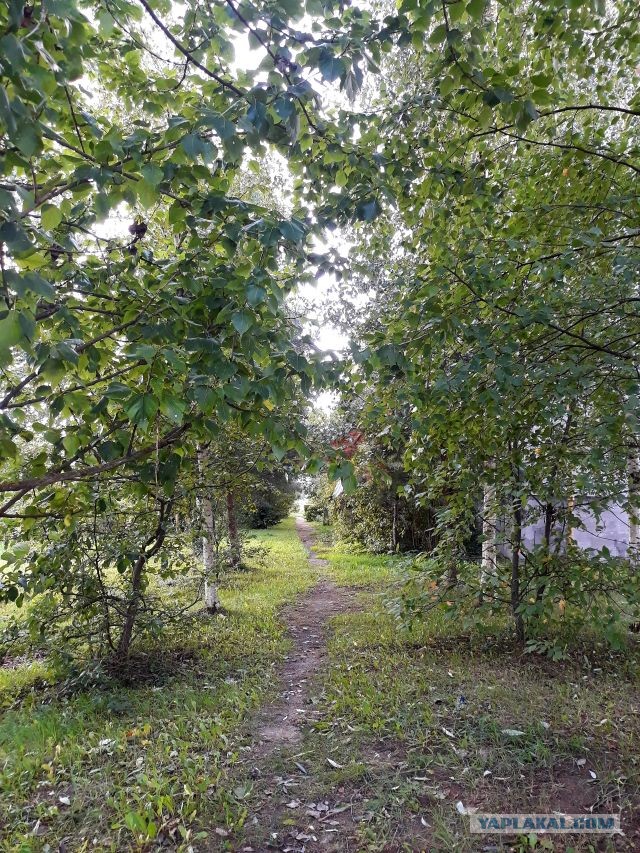 Без врага жизнь скучна, а с врагом - интересна