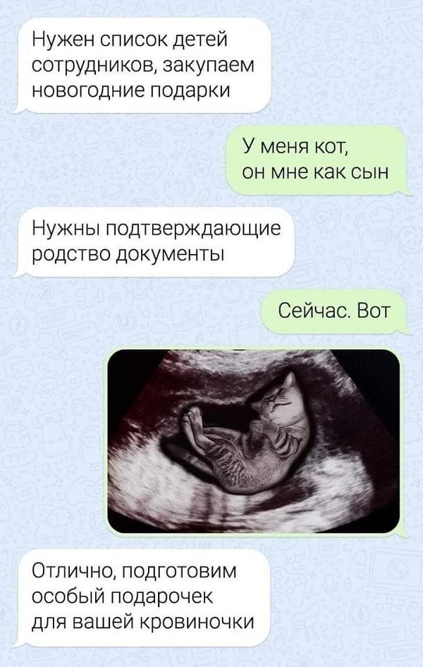 Весёлый полтишок 24.12.23