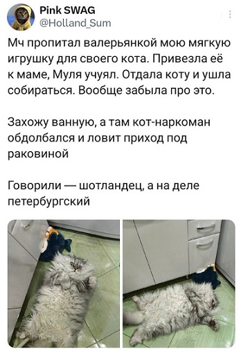 Все мужики одинаковые
