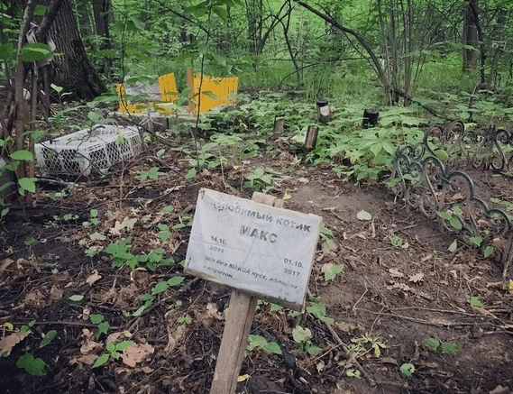 Зоонекрологи. Их все больше