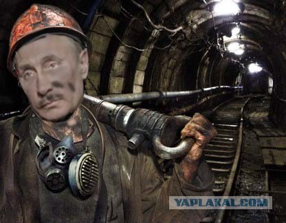 Грустный какойто, на лиса  похож