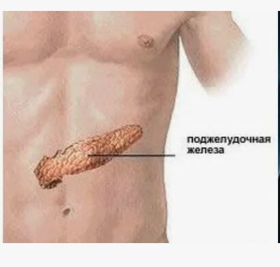 Время обеда