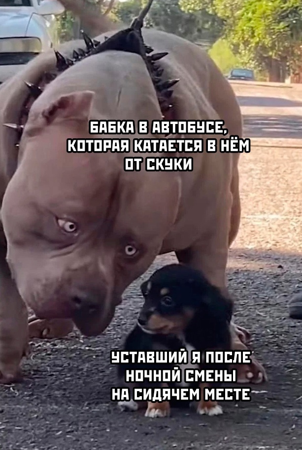 Веселые картинки к понедельнику (16.12)