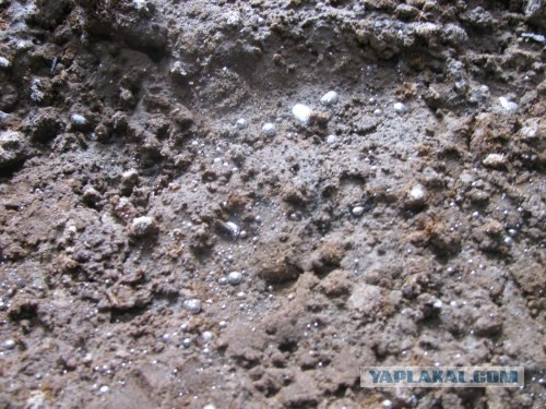 Второй "Чернобыль" в Киеве