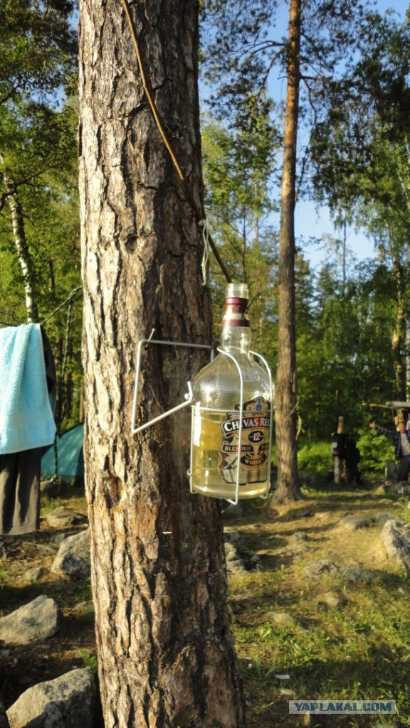 Вуокса 2013 или Трое в лодке не стесняясь собаки