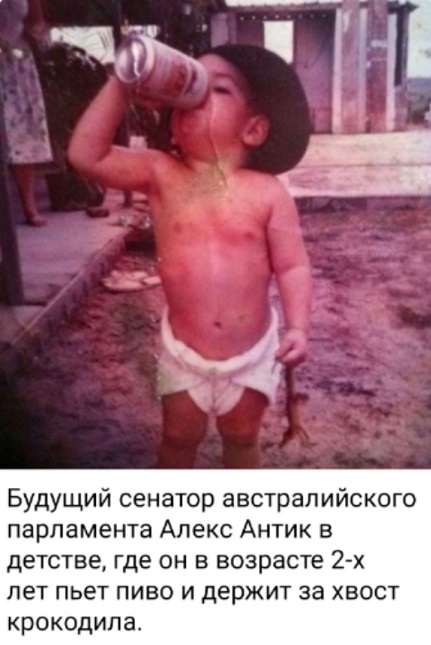 Моя любимая теория заговора