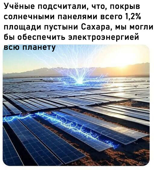 Белый слон и другие картинки