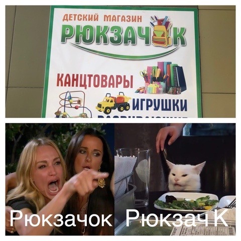 Знаменитый кот
