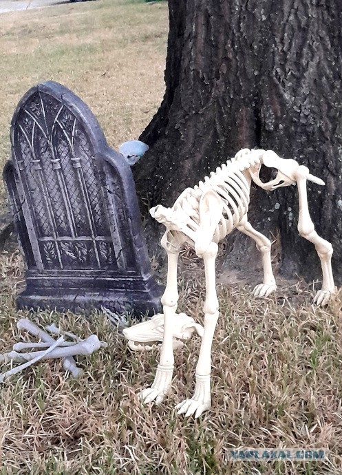 Техас готов к Хэллоуину