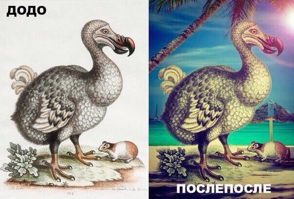 Картинки разные с надписями и без