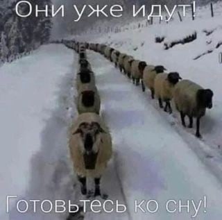 Пятницы картинки