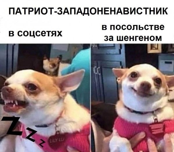 Ударим по баянам ?‍↔️