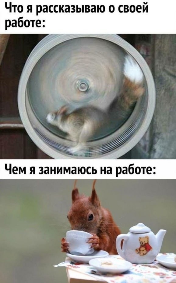 Субботние картинки