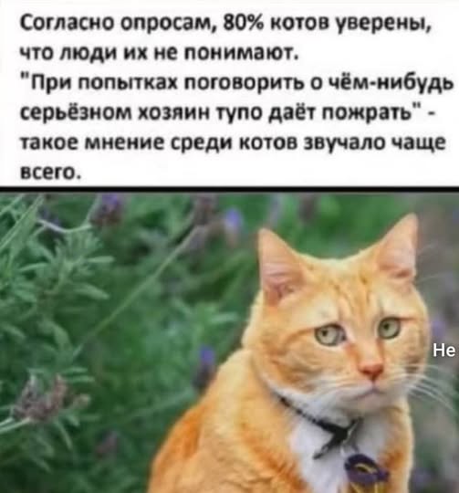 Картинки для деградации 157 (разной степени свежести)
