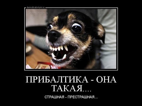 в Латвии упал и взорвался ураинский беспилотник. ноту протеста вручили (тадамсс!) Российскому послу...