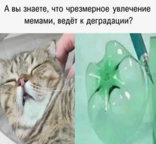 Дегрономикон 15