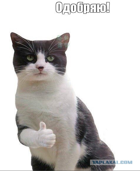 В сети нашли идеальный клатч для девушек, которые разбираются в стиле.