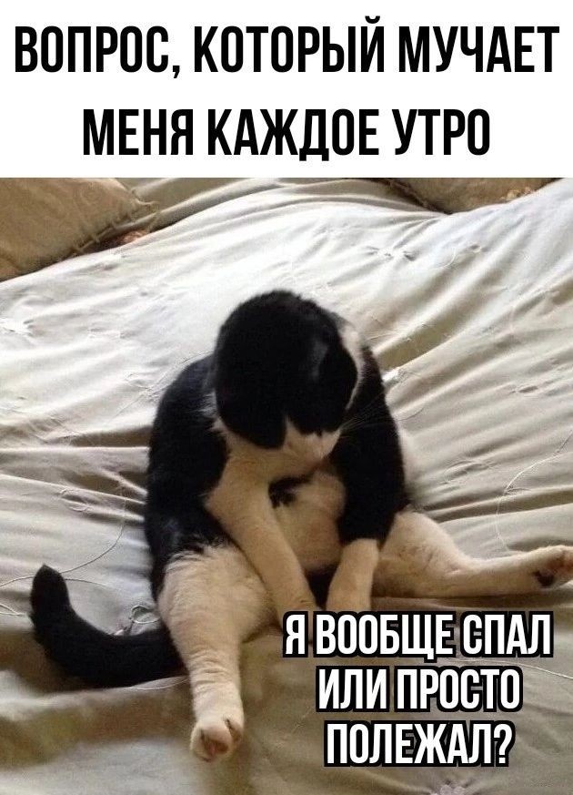 Зря вы сейчас не спите, утром вам это не понравится