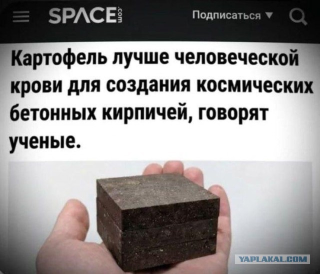 Картинки для деградации 292 (разной степени свежести)