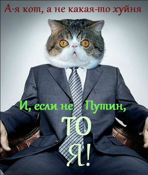 Обычный такой юмор