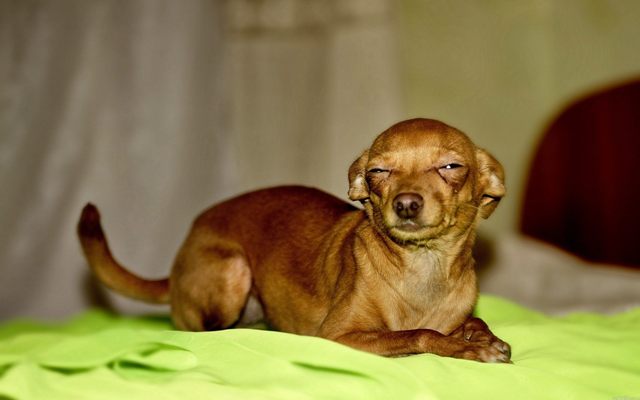 Кто-кто в теремочке живет?