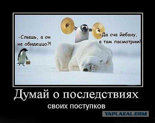 Тема для юмора