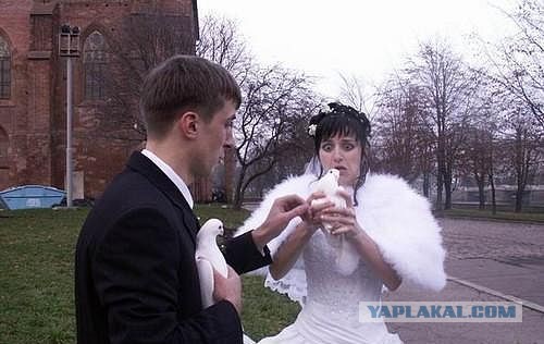 Смешные люди из социальных сетей