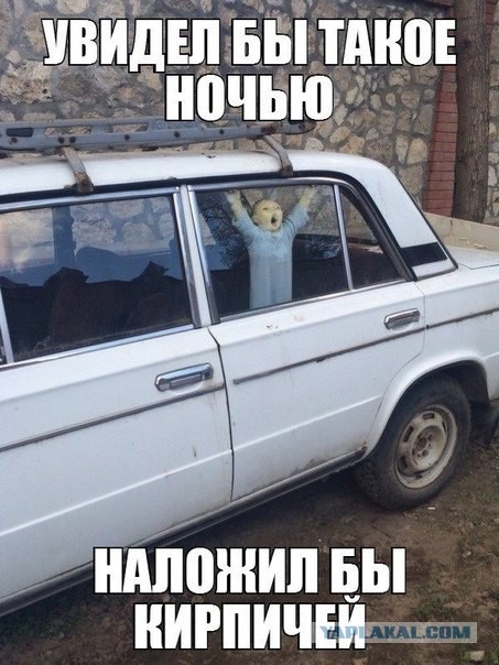 Смешные картинки