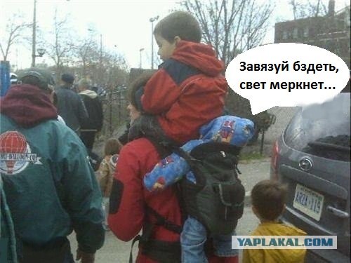 О любимчиках в семье